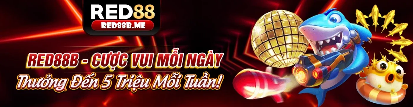 Các nguyên tắc chính của GDPR tại cobet chính thức